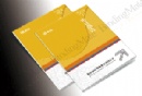 Audit Report